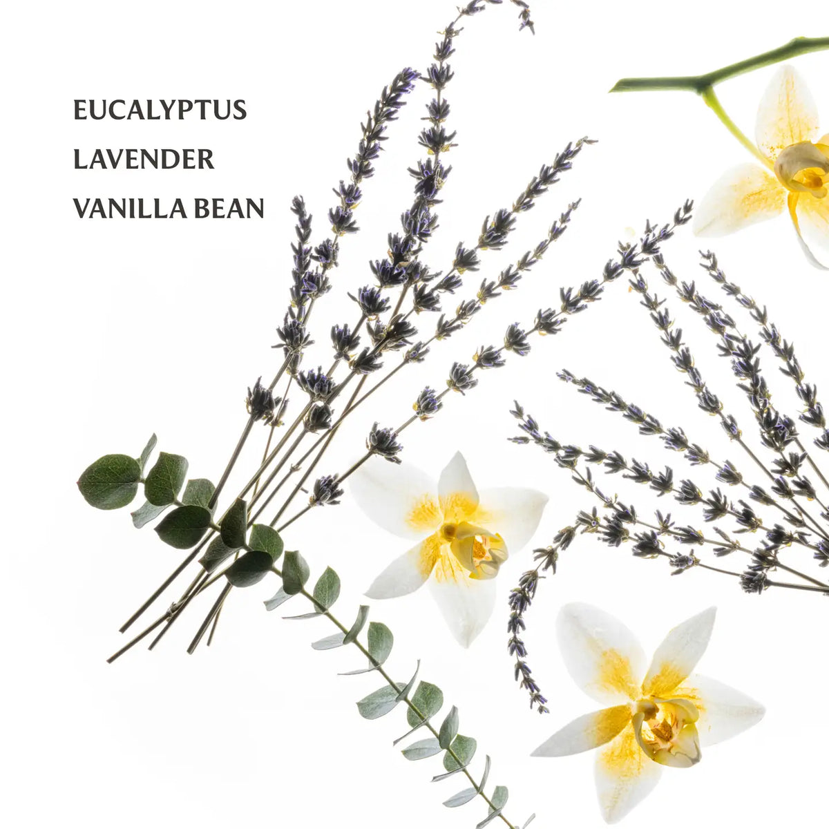 Touchland Hand Sanitizer - Pure Lavender