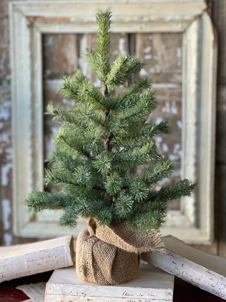 Icy Rocky Mountain Pine Tree 18”