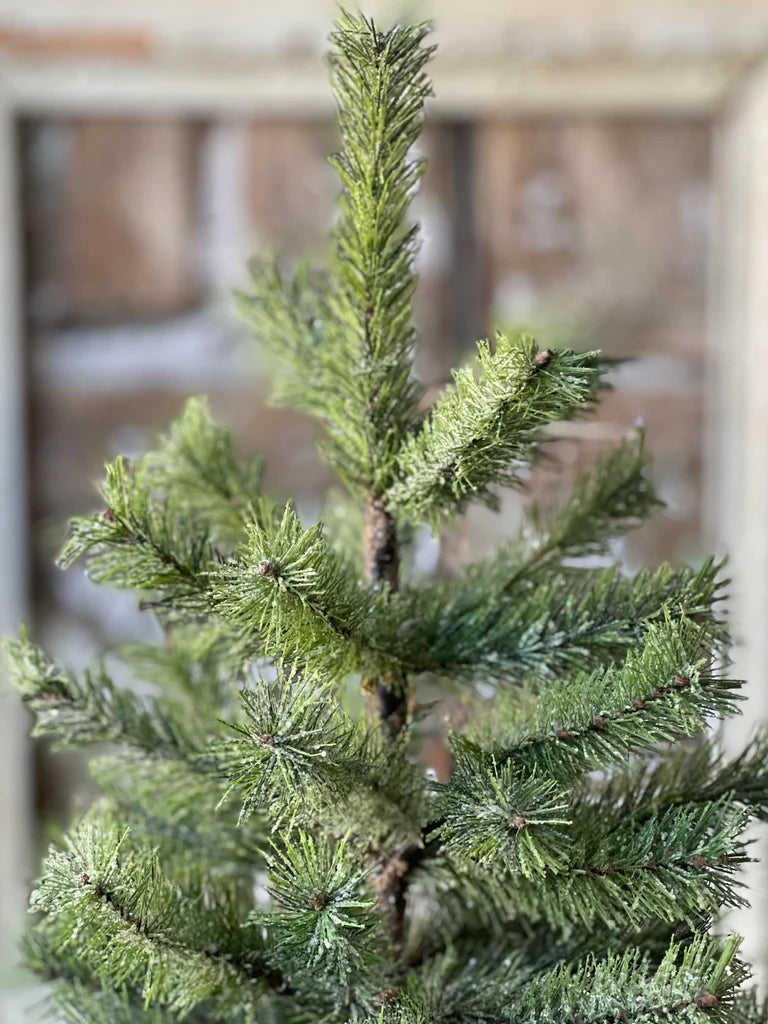 Icy Rocky Mountain Pine Tree 18”