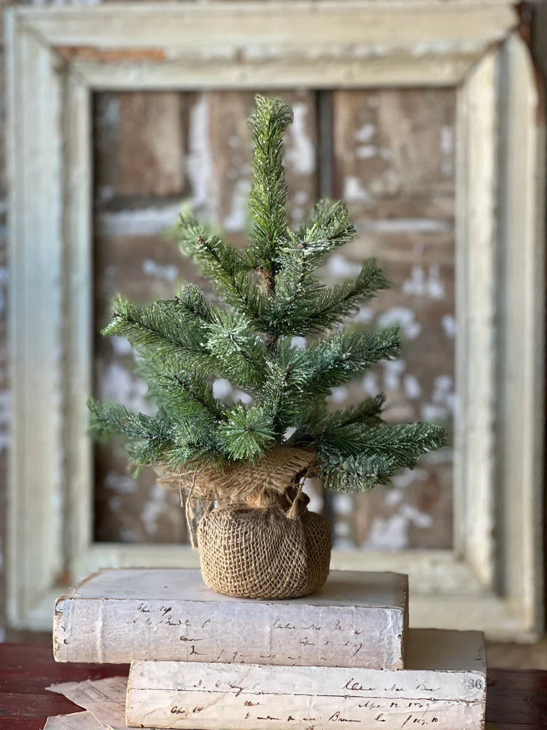 Icy Rocky Mountain Pine Tree 12”
