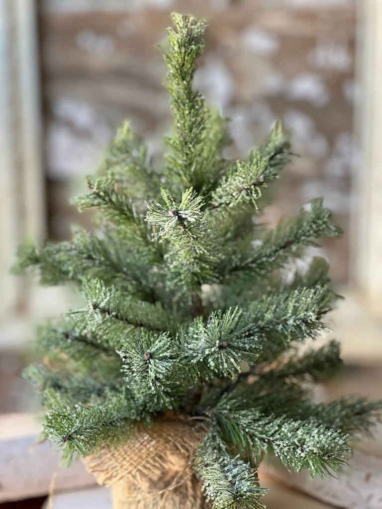 Icy Rocky Mountain Pine Tree 12”