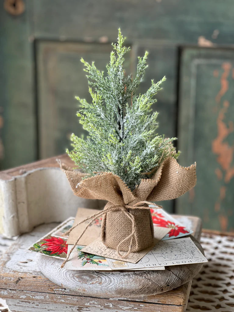 Fine Pine Tree 12”