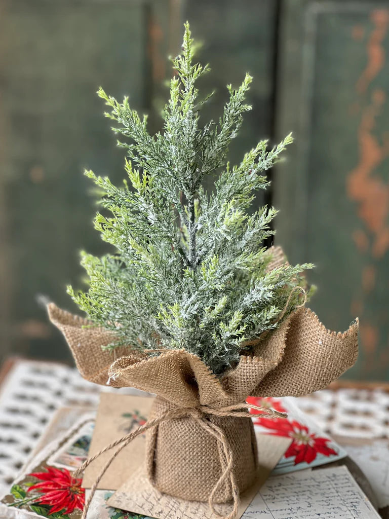 Fine Pine Tree 12”