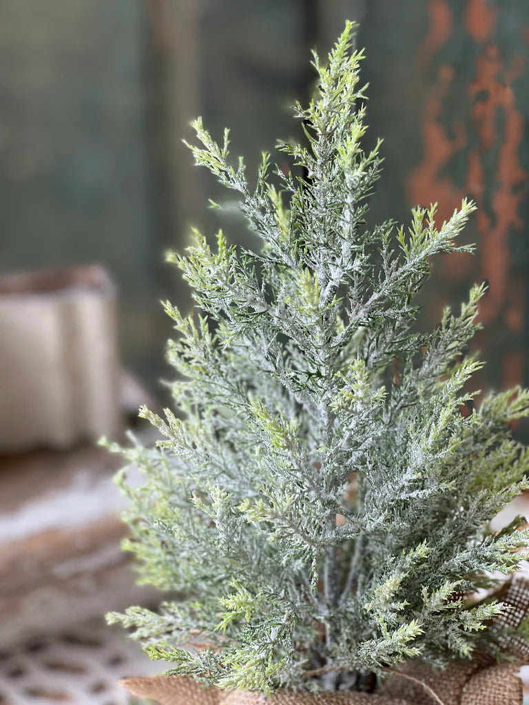 Fine Pine Tree 15”