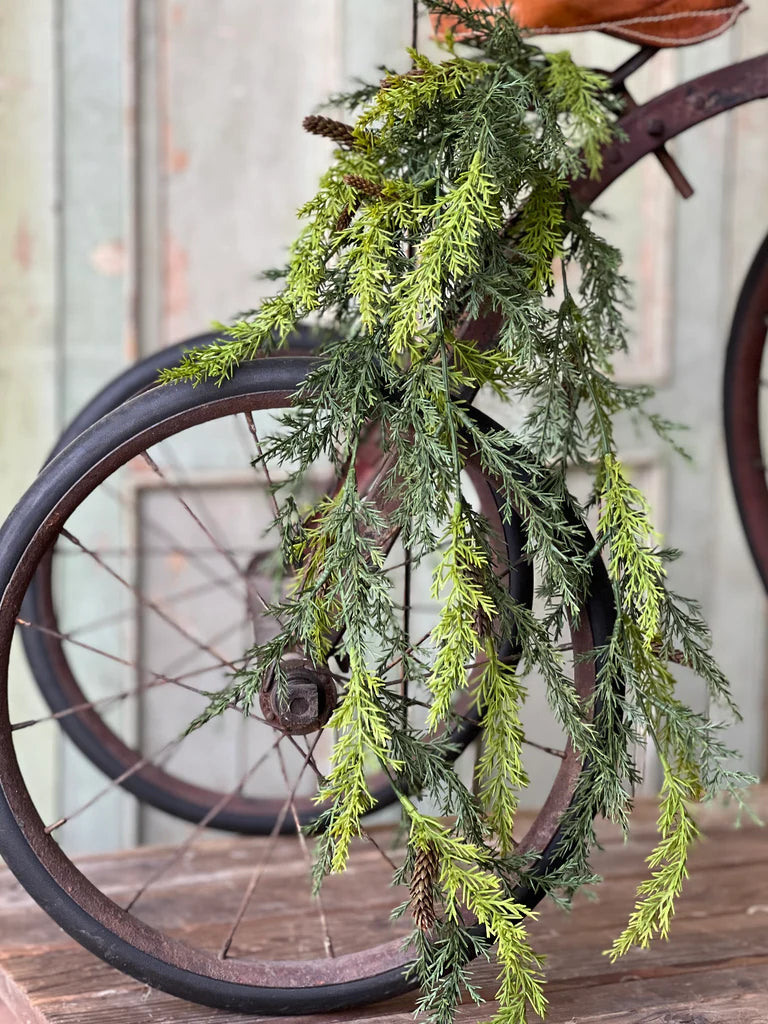 Prickly Pine Hanging