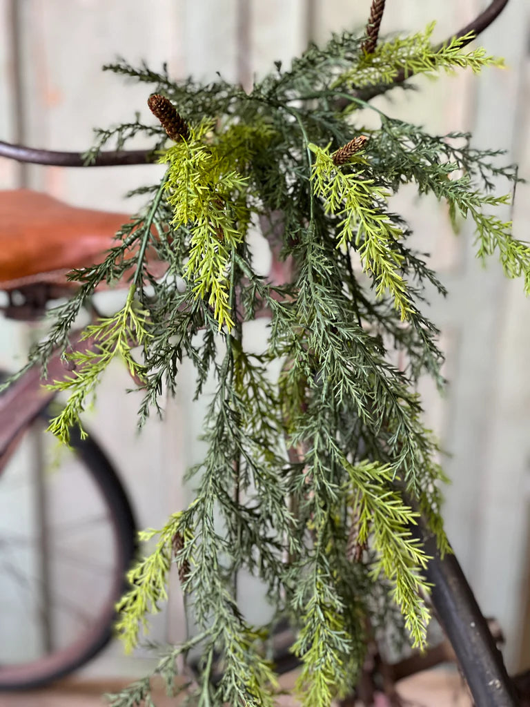 Prickly Pine Hanging