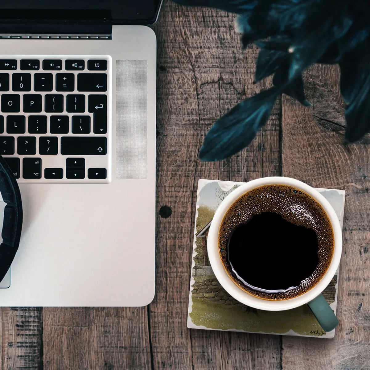 Old Humpback Bridge Coaster