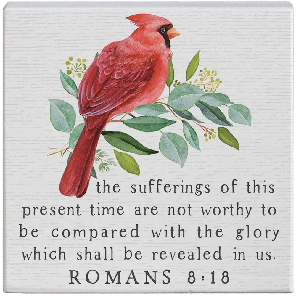 Romans 8:18 Gift-A-Block