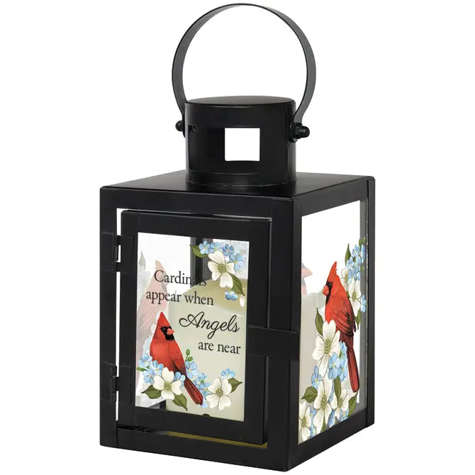 Cardinals Appear Lantern