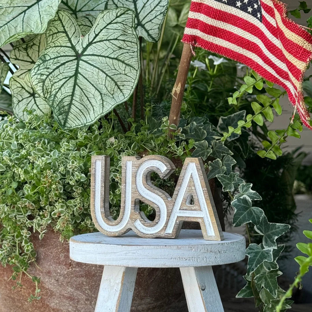 USA Carved Word