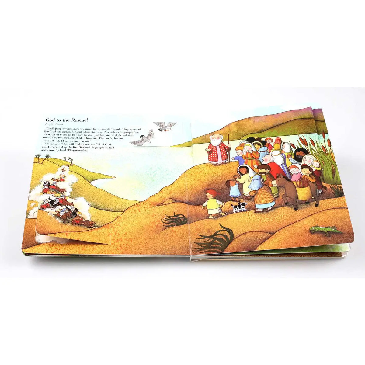 Lift the Flap Bible Board Book