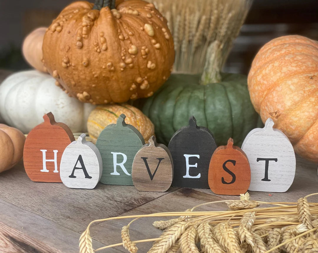 Harvest Pumpkin Sitter