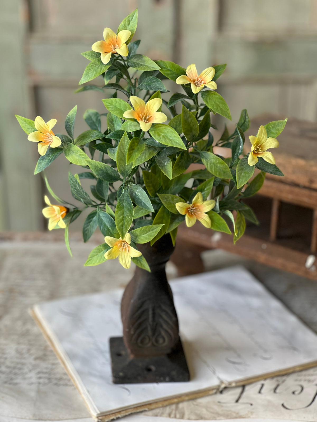 Bashful Blooms Bush - Yellow