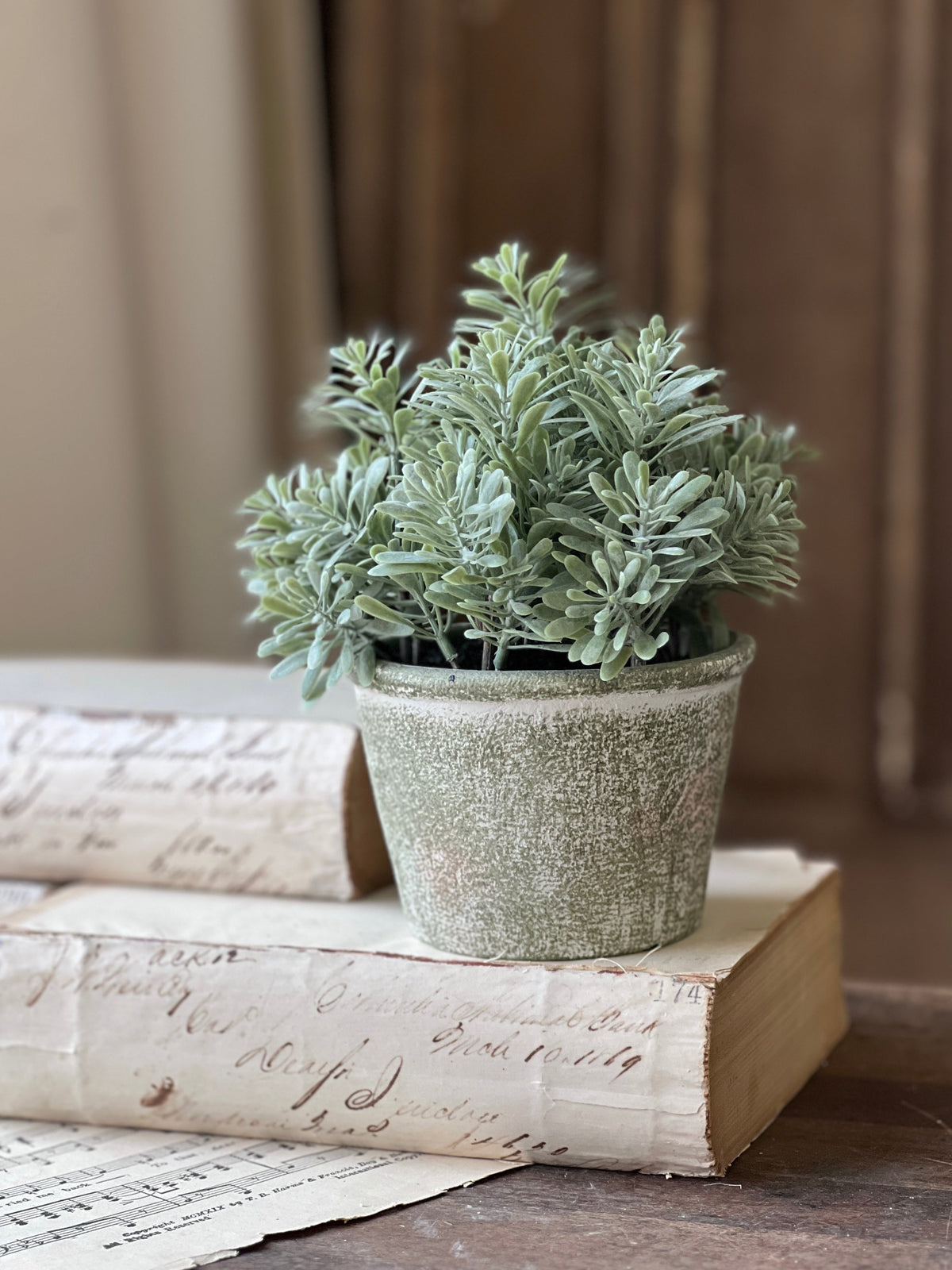 Belmont Pot - Purslane