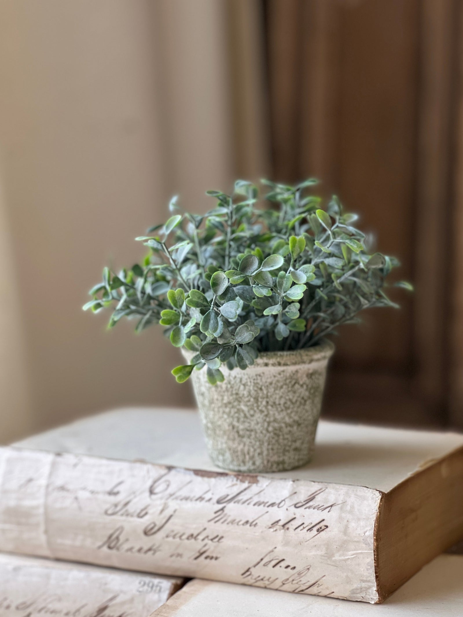 Belmont Pot - Loveleaf