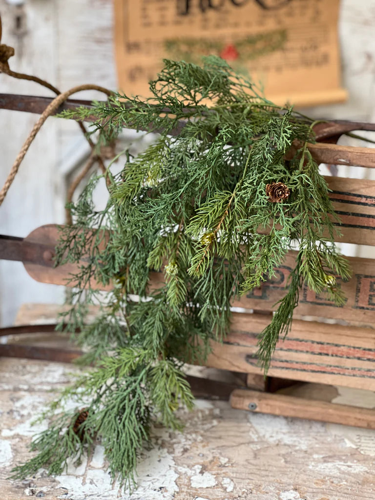 Telluride Spruce Hanging