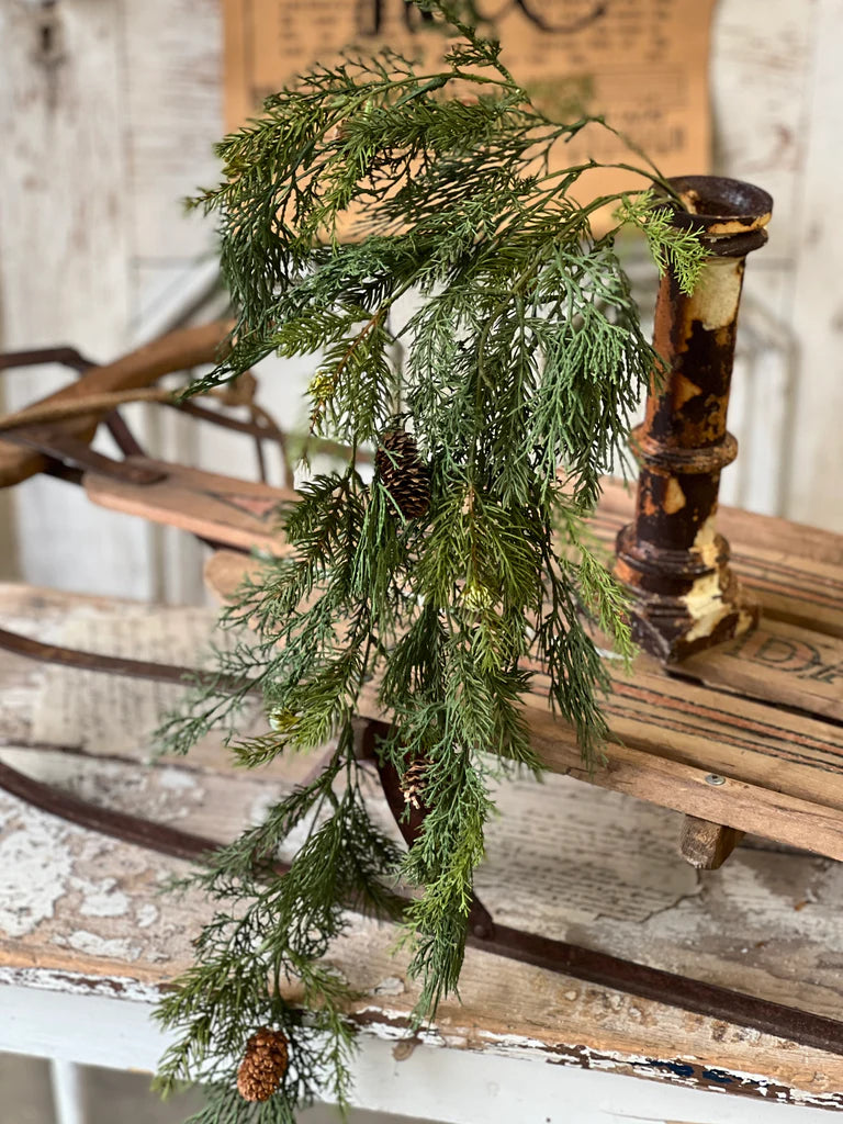 Telluride Spruce Hanging