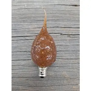 Spicy Rosehips Bulb
