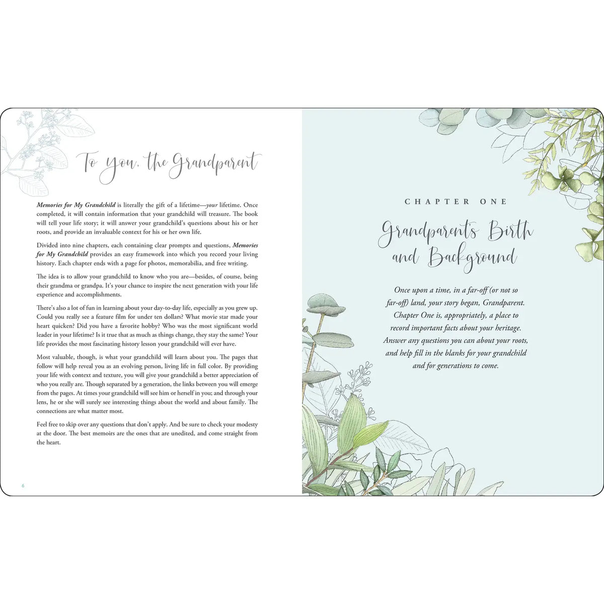 Memories for my Grandchild Keepsake Book
