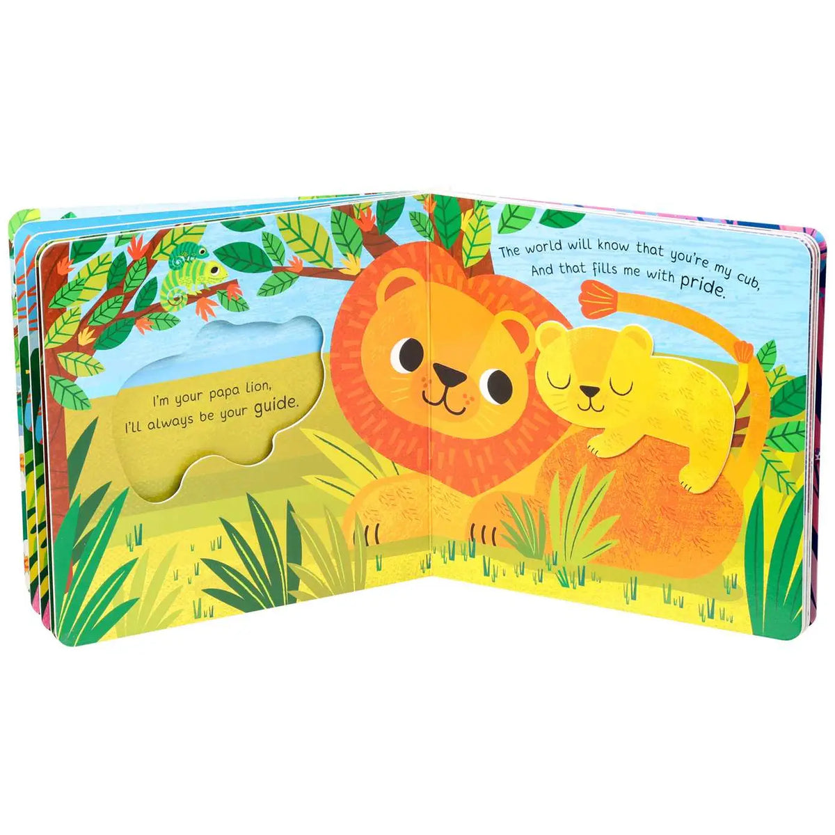 You’re my Little Papa Bear Board Book