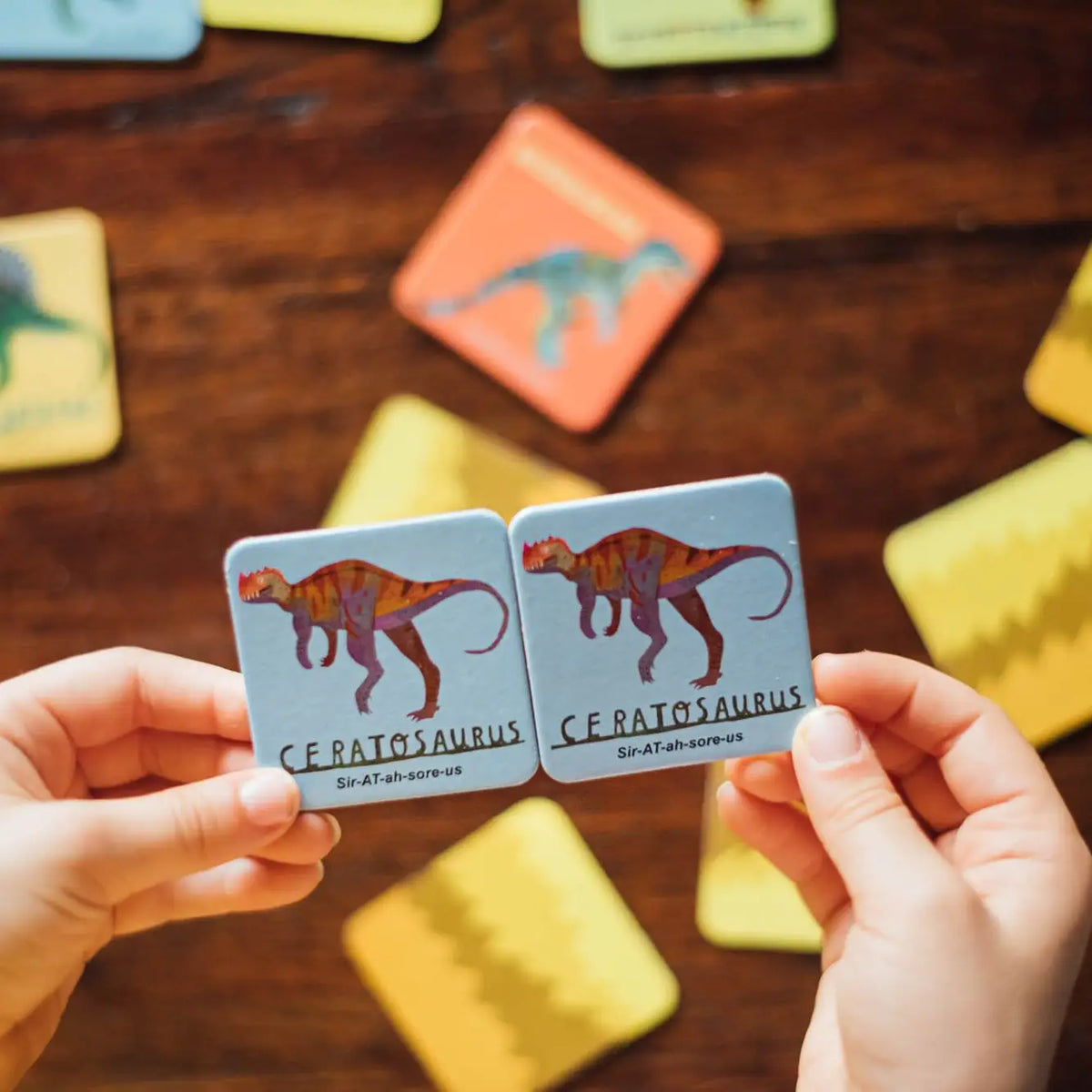 Dinosaurs Little Memory &amp; Matching Game