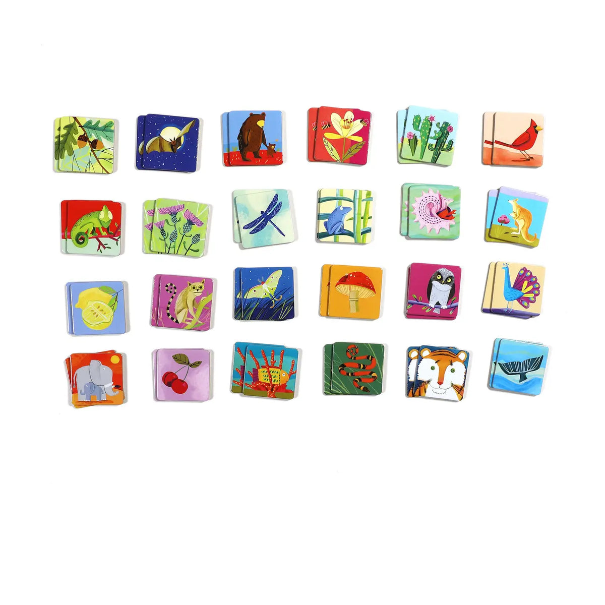 Life on Earth Memory Game