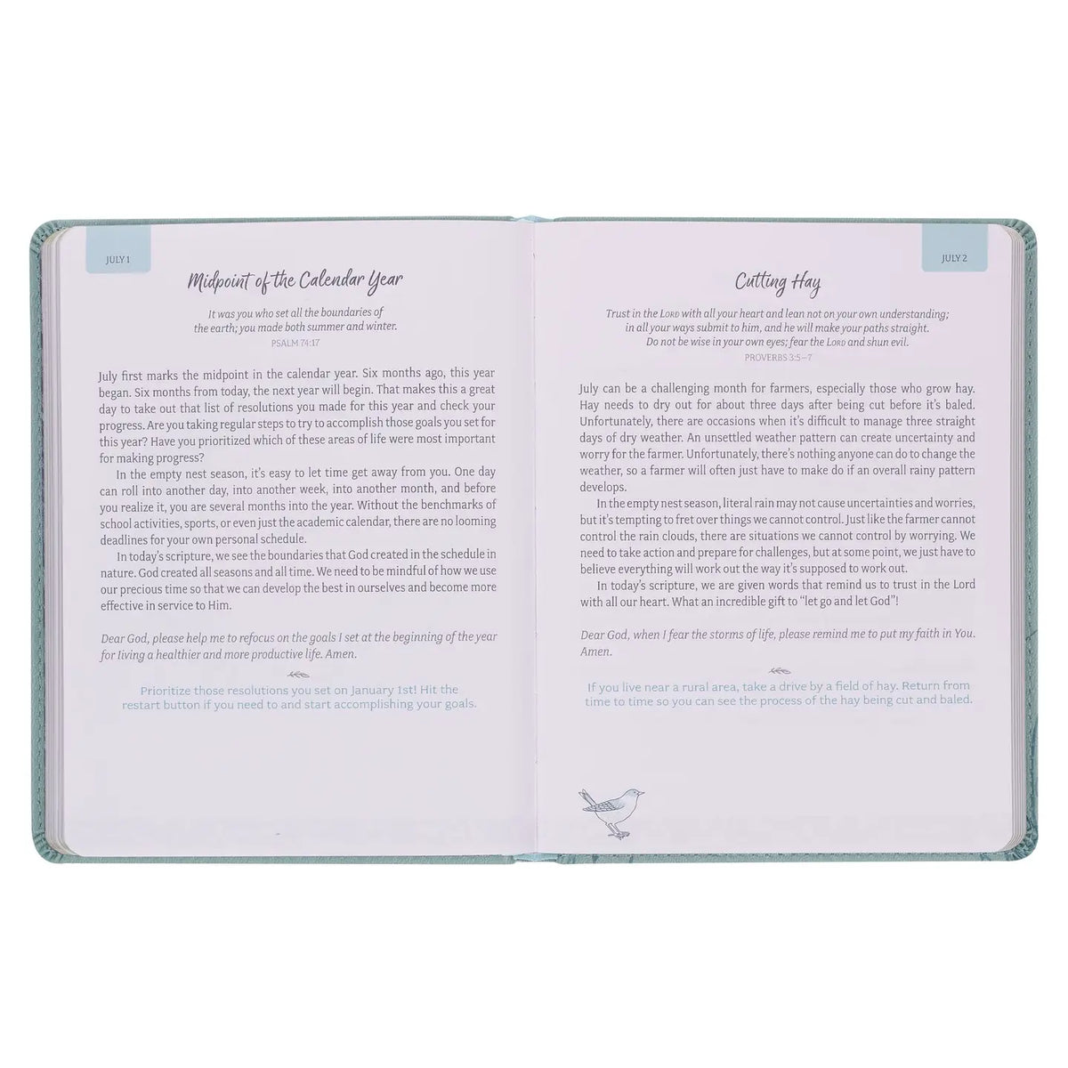 Daily Hope for the Empty Nest Devotional