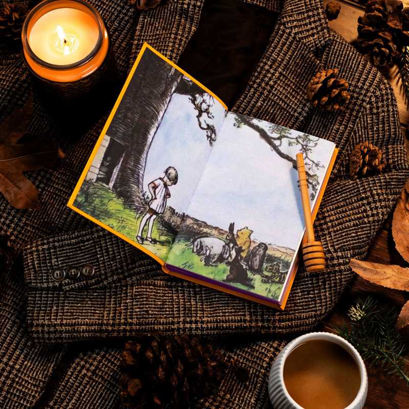 House at Pooh Corner Book