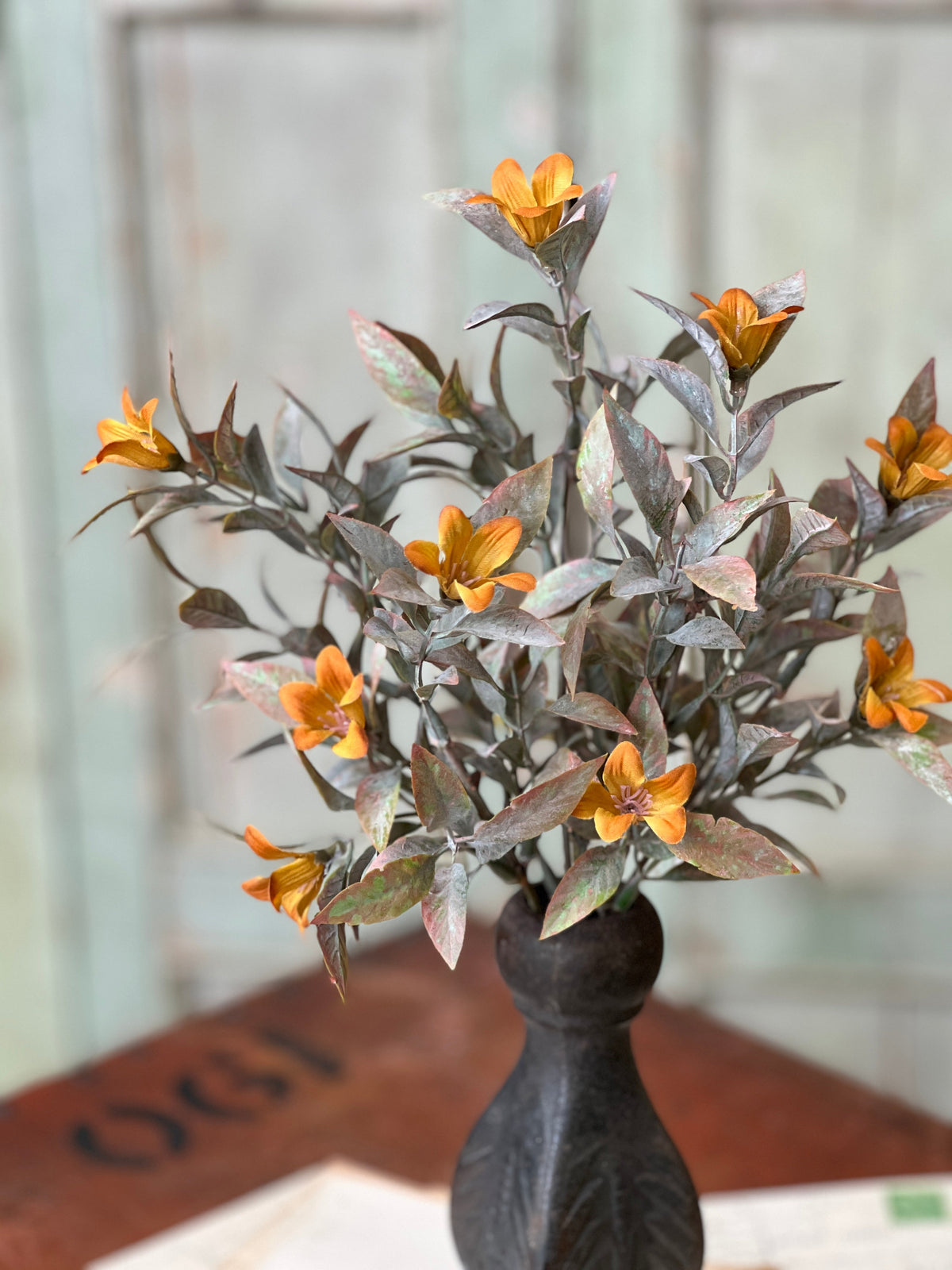 Coquette Blooms Bush