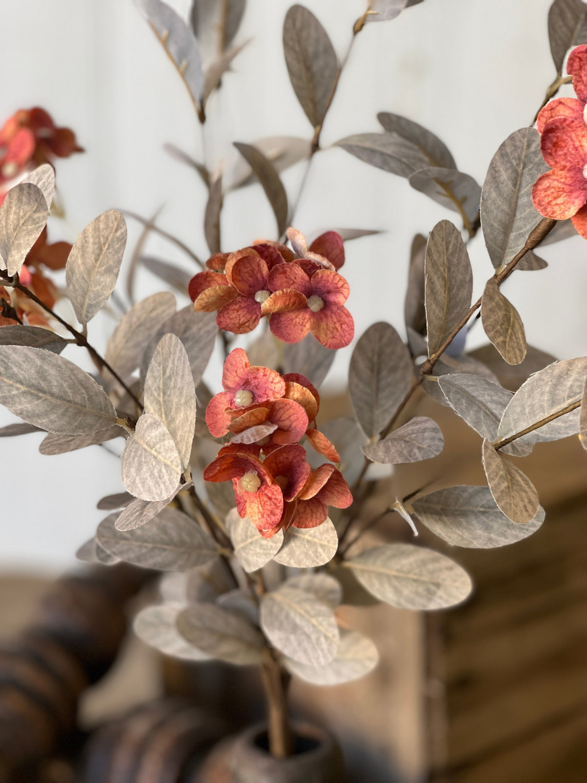 Gillreath Blooms - Ginger