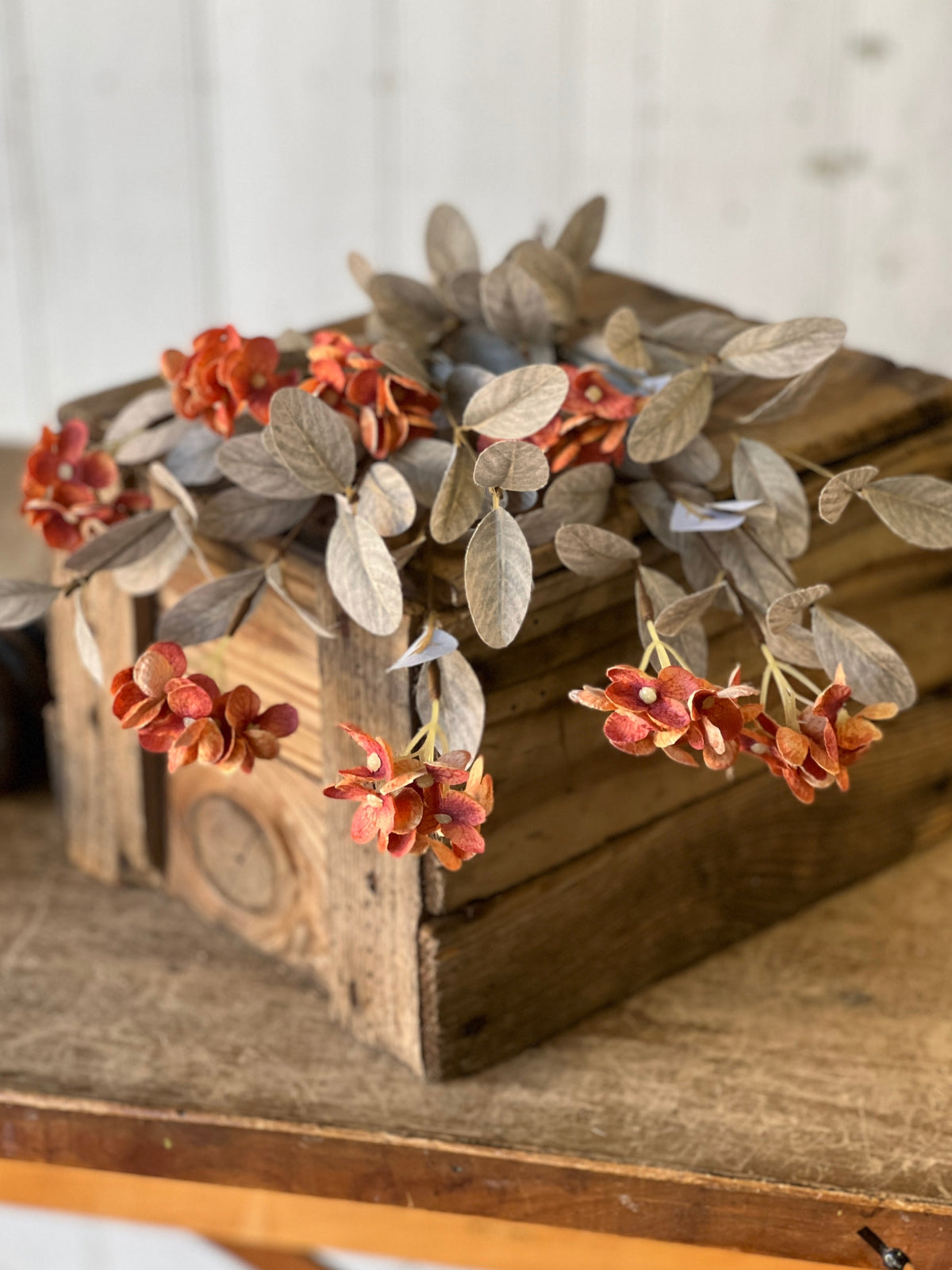 Gillreath Blooms - Ginger