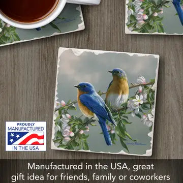 Bluebirds Coaster