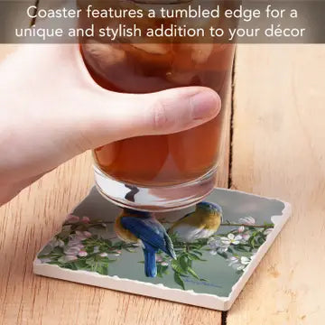 Bluebirds Coaster