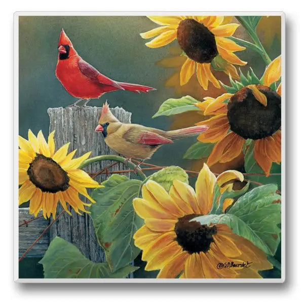Take Flight Cardinals Coaster