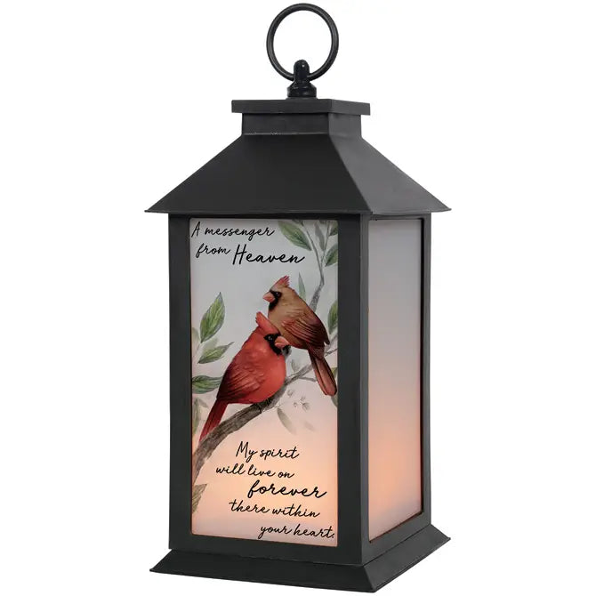 A Message Cardinal Lantern