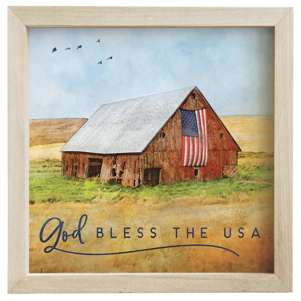God Bless the USA Framed Sign