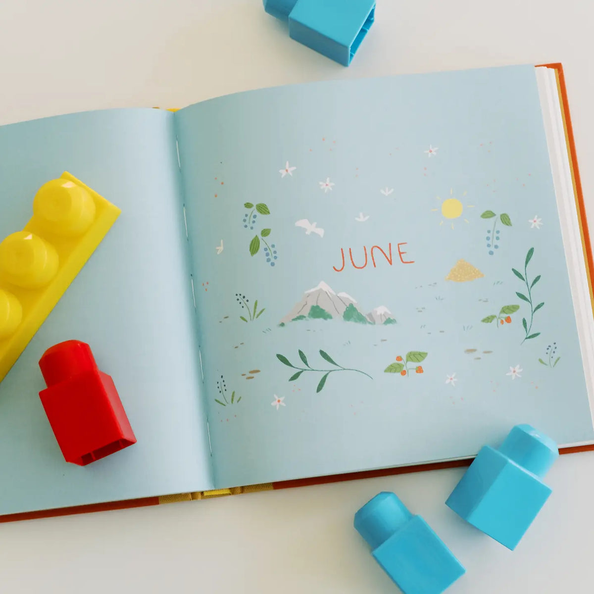 A Year of Bible Prayers Book