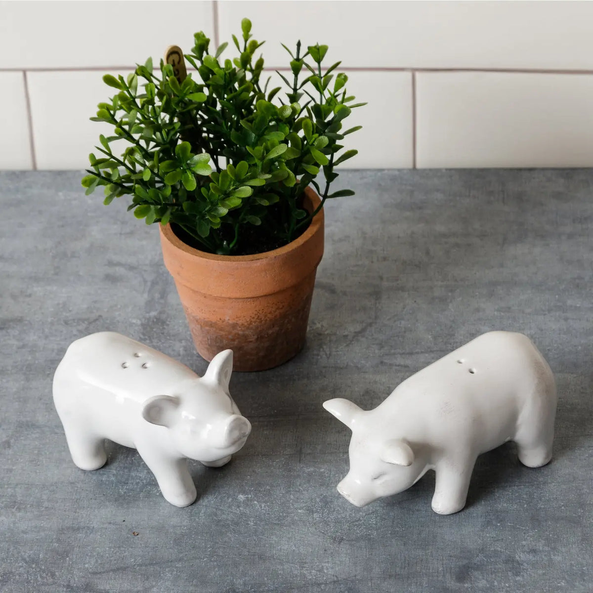 Pig Salt &amp; Pepper Shakers