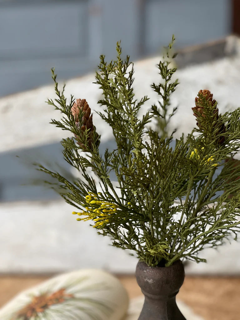 Alpine Cedar Pick