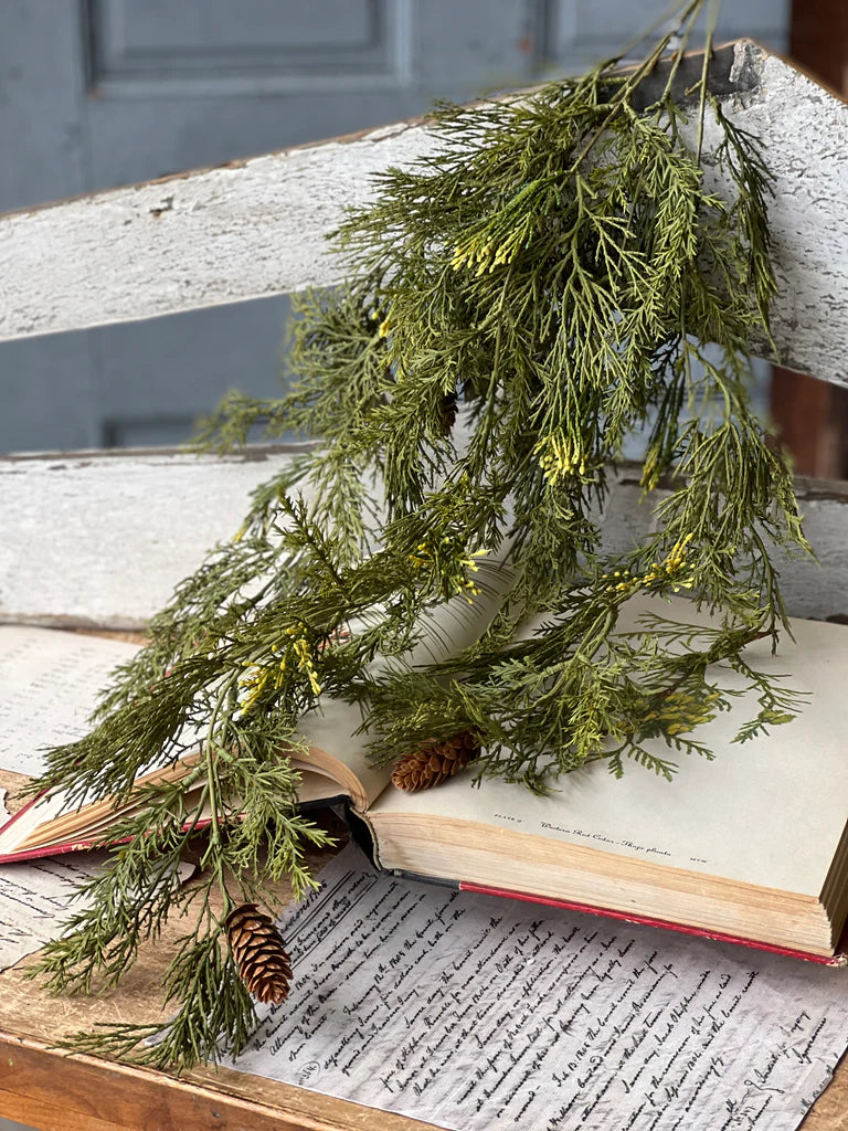 Alpine Cedar Hanging