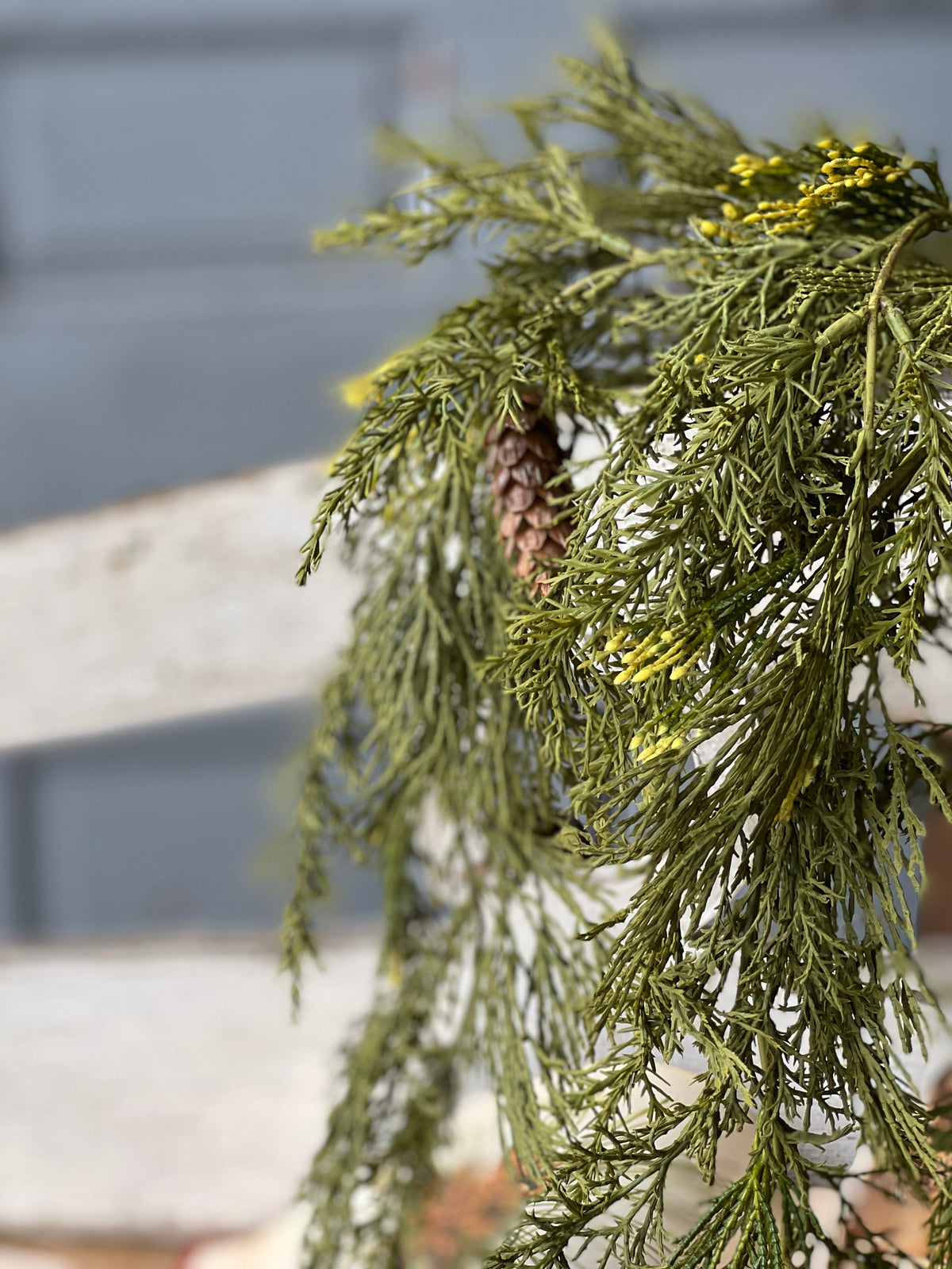 Alpine Cedar Hanging