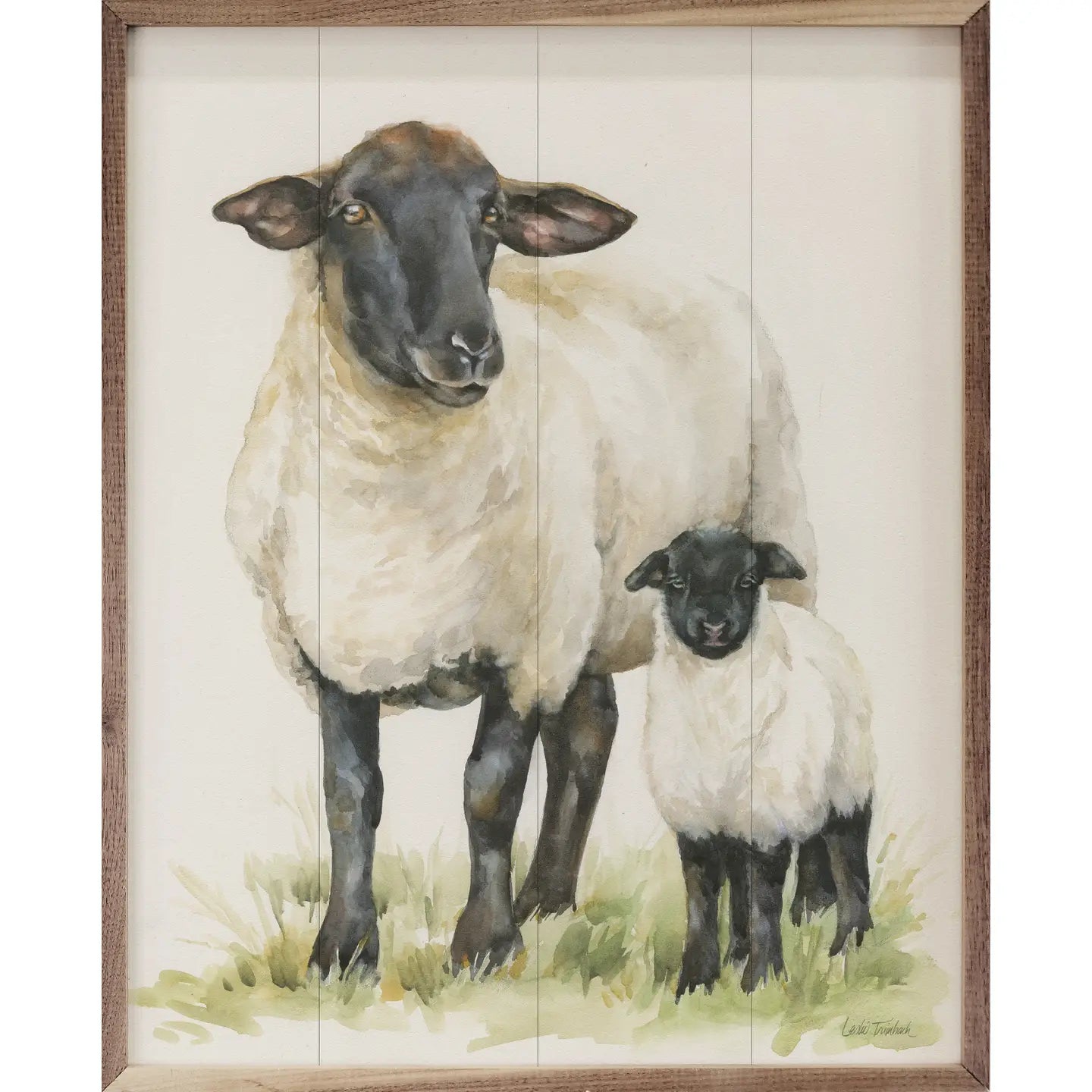 Sheep Framed Art