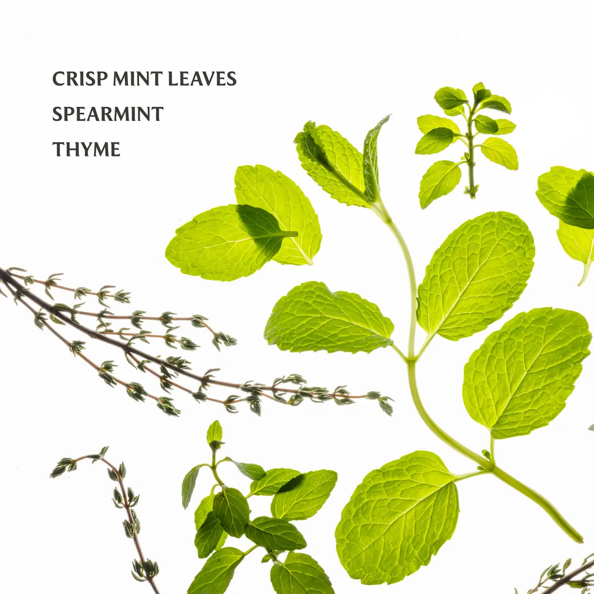 Touchland Hand Sanitizer - Frosted Mint