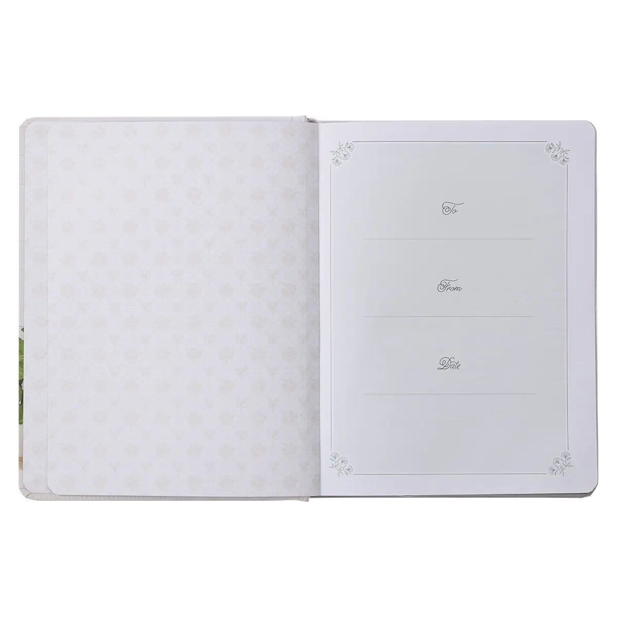 Daily Hope for a Women’s Heart Devotional