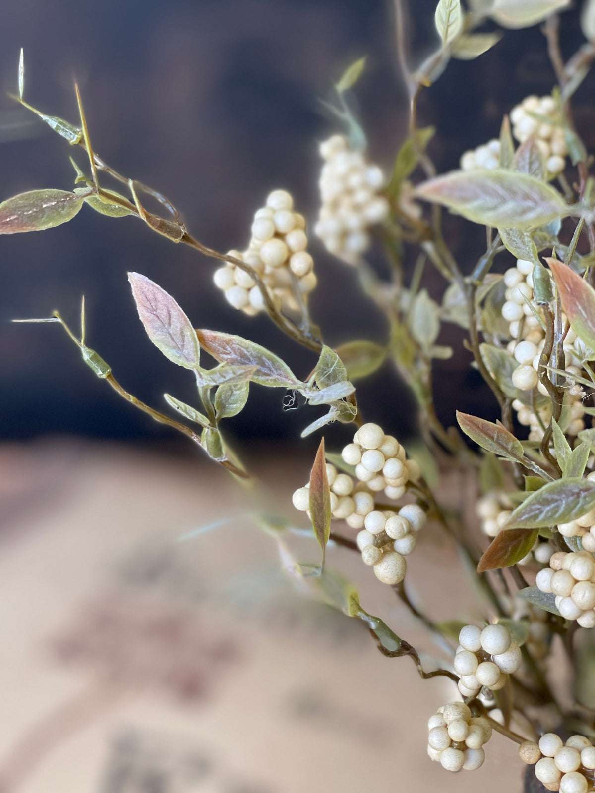 Hasp Berry Bush - Cream