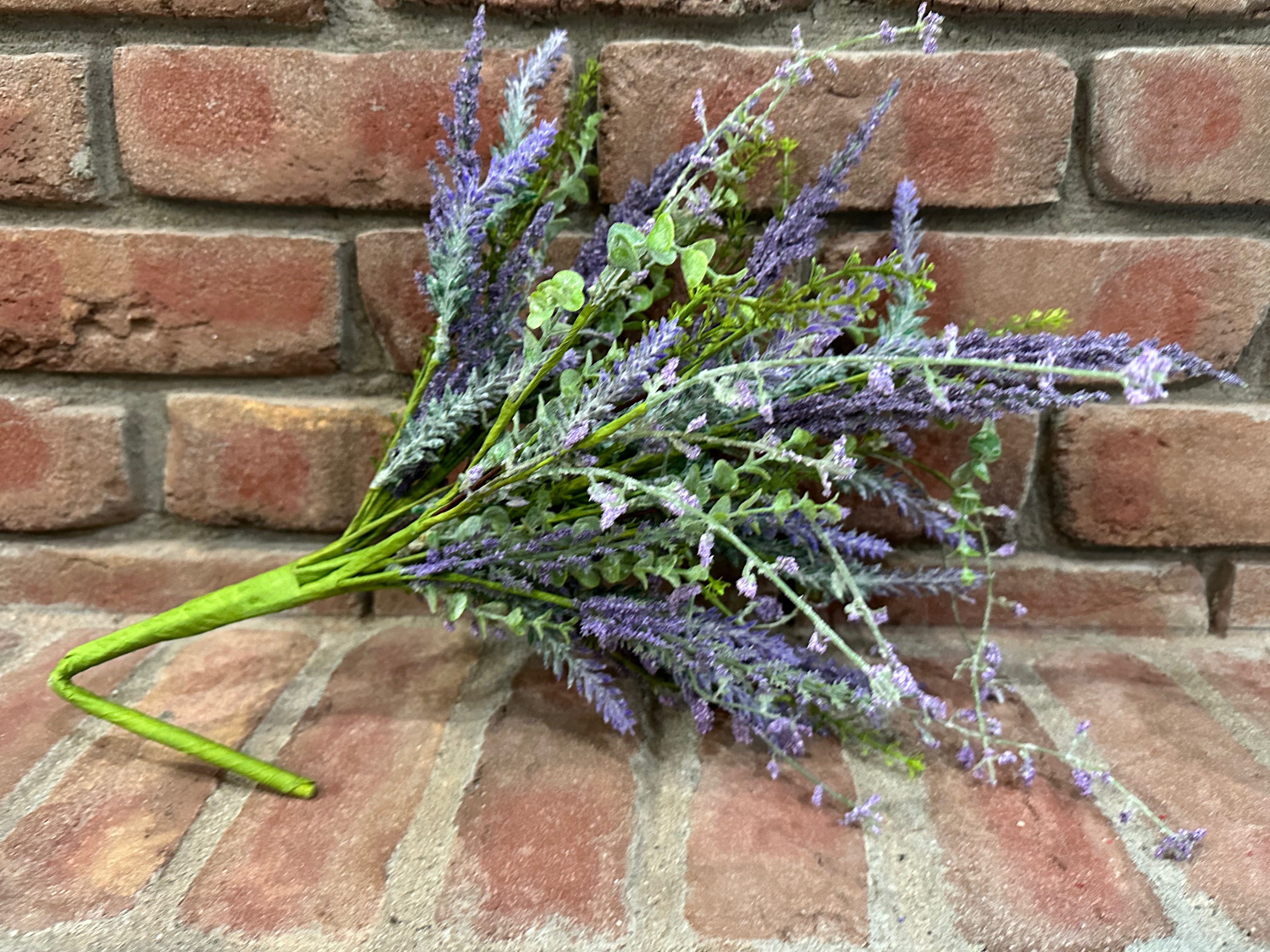 mixed lavender plants Mixed Lavender Bush