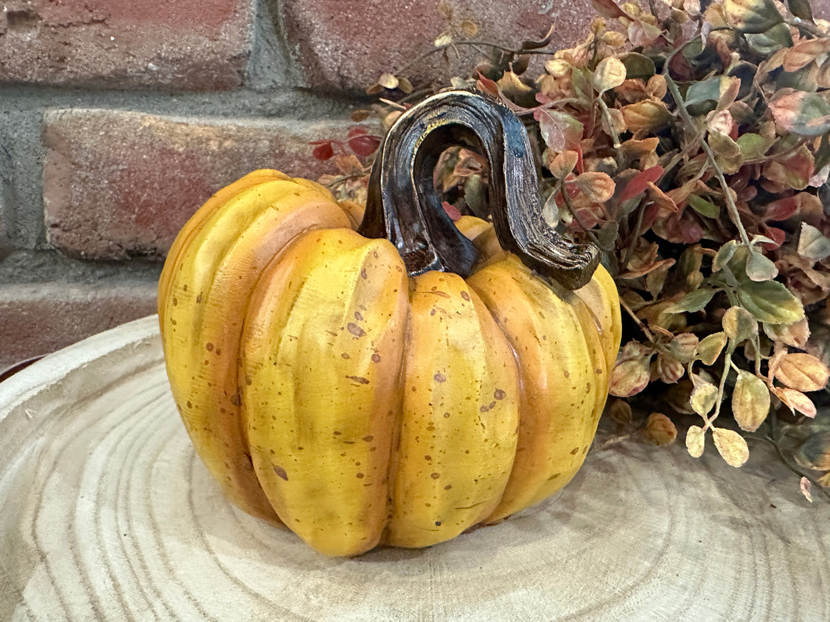 Harvest Pumpkins - 3 Styles