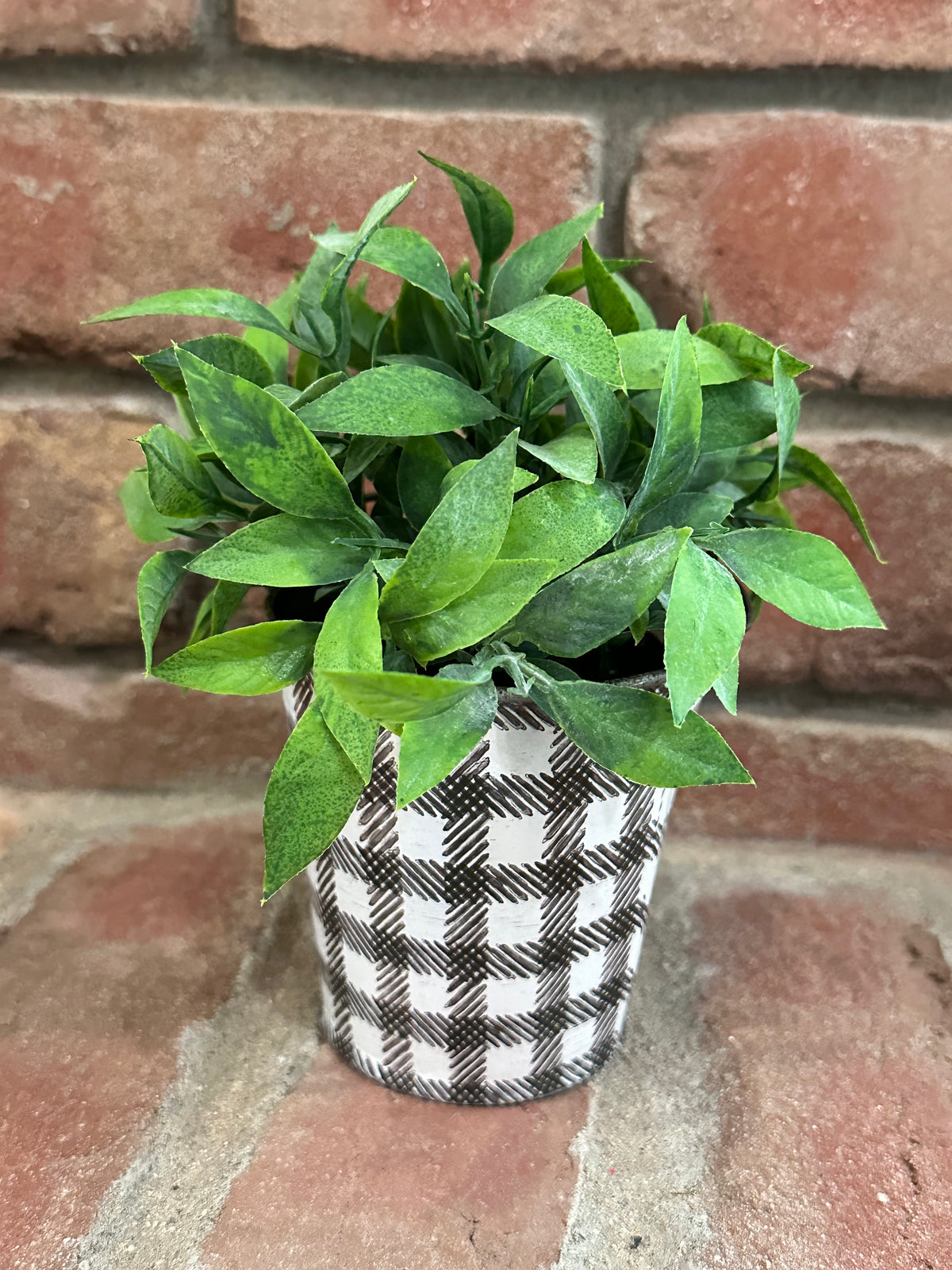 Plaid Buckets - 3 Sizes