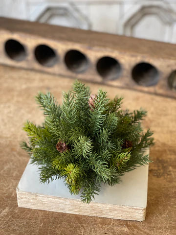 White Spruce with Cones Half Sphere - Small