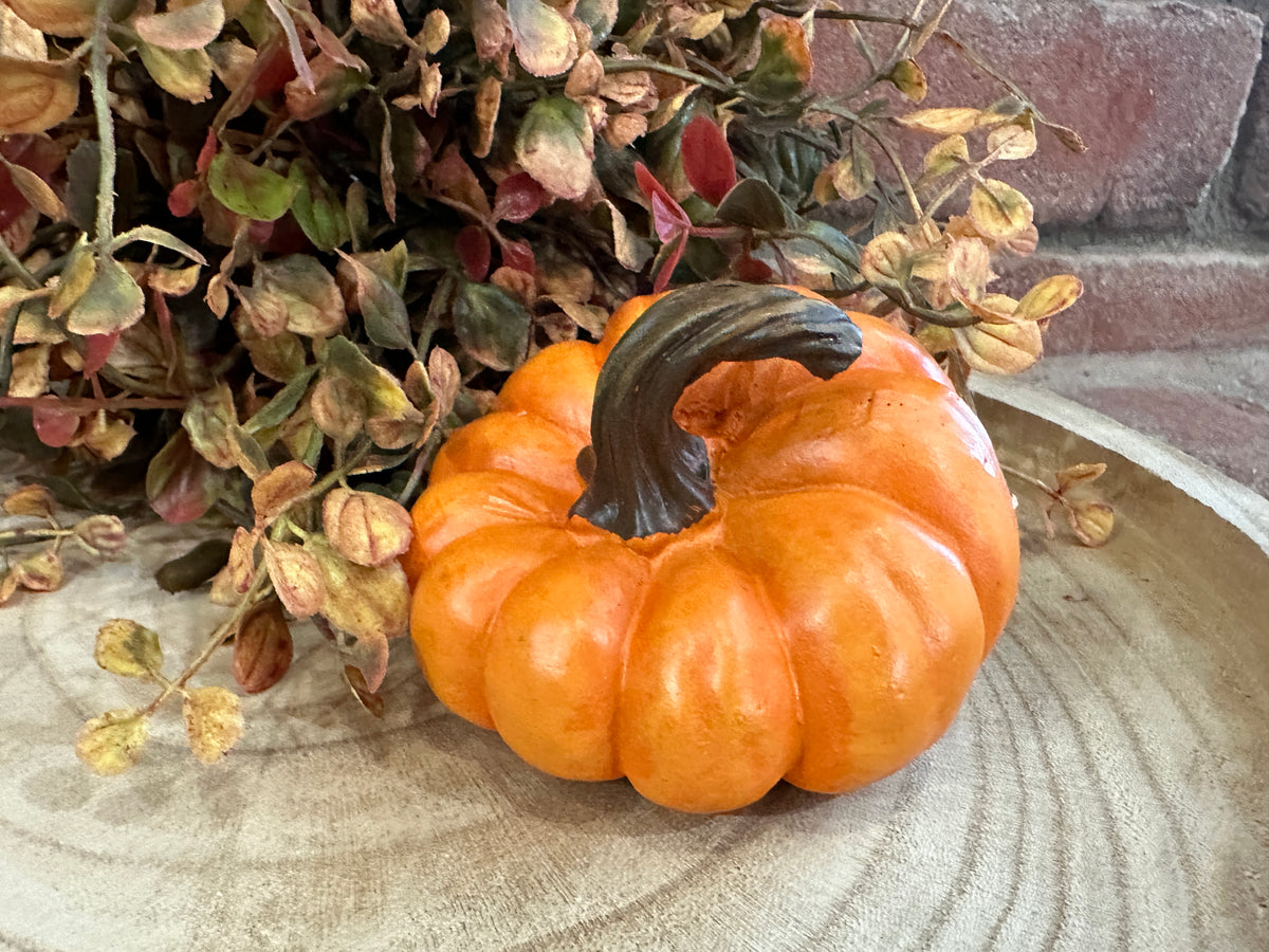 Harvest Pumpkins Mini - 3 Styles